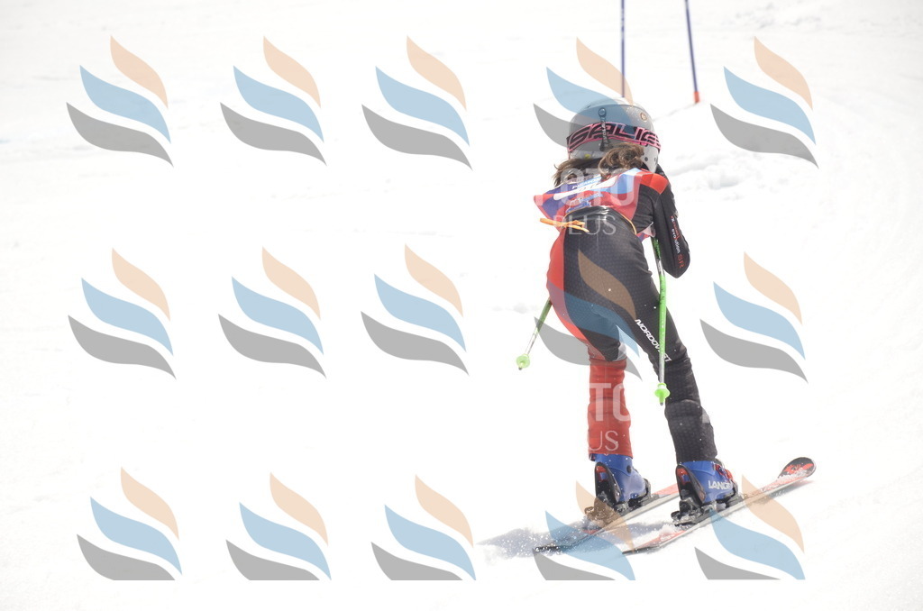 _ELE9265 | holidayphoto