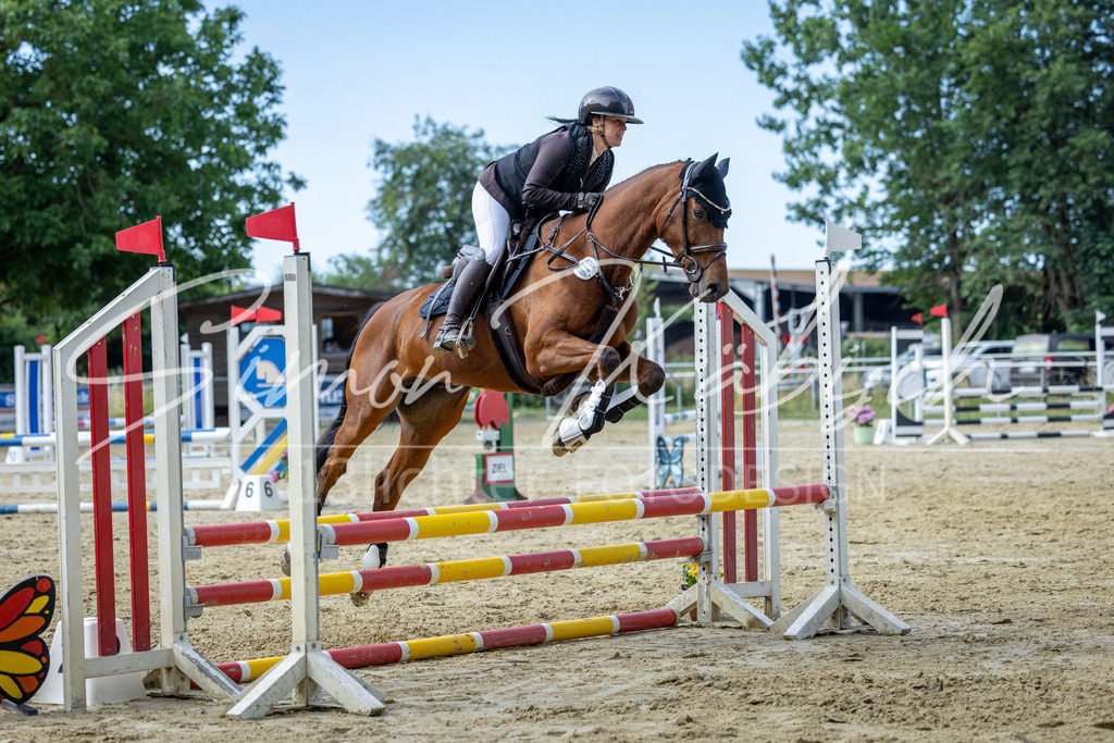 20260704-_3LI6636 | Tierfotografie Pferde, Hunde, Katzen, Haustiere.
Turnierfotografie Reitturniere, Reiten, Springreiten, Dressur in Hanau, dem Main-Kinzig-Kreis und dem Rhein-Main- Gebiet um Frankfurt
