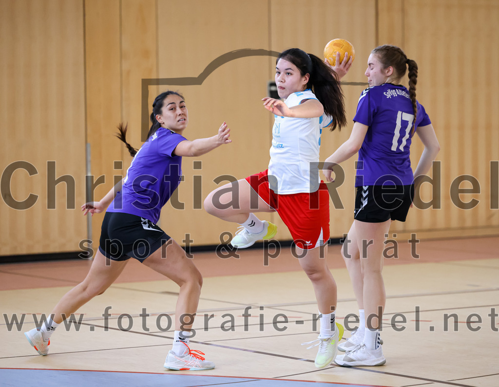 2023-03-18_084_SpVgg_Altenerding_II_gegen_HSG_Freising-Neufahrn_II | Erding, Deutschland, 18.03.2023:
Handball, Bezirksliga Frauen Altbayern 2022 / 2023, 14. Spieltag, SpVgg Altenerding II gegen HSG Freising-Neufahrn II, Endergebnis: 25:27

Michelle Gruber (SpVgg Altenerding, #7), Leonie Kehlenbeck (HSG Freising-Neufahrn, #21), Thea-Sophie Steinbrecher (SpVgg Altenerding, #17)

Foto: Christian Riedel / fotografie-riedel.net