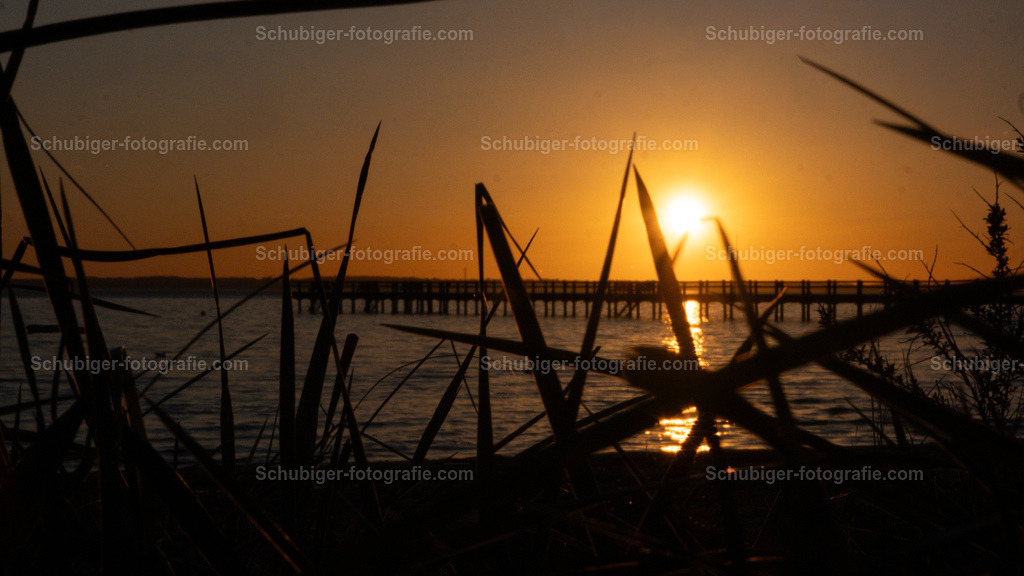 DSCF2940 | fotografie, Schubiger, Landschaftsfotografie, Tierfotografie, Industrie, Immobilien, Bilder, Poster, Kunst und KI - Realisiert mit Pictrs.com