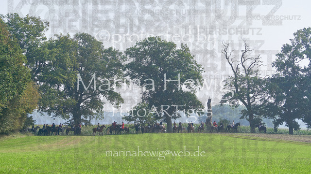 09-23 Jagd Perdöl_MCH0127_Marina Hewig | Fotografie, FotoArt, PferdesportArt, Pferdesportfotografie, Landschaftsfotografie, Reisefotografie, Reise, Pferde - Realisiert mit Pictrs.com