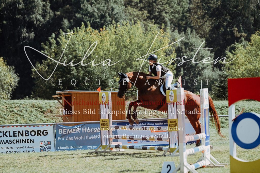 DSC_6705 | Pferde- und Turnierfotografie in Westsachsen. Pferdeportraits, Auftragszeichnungen und intuitive Kunst.