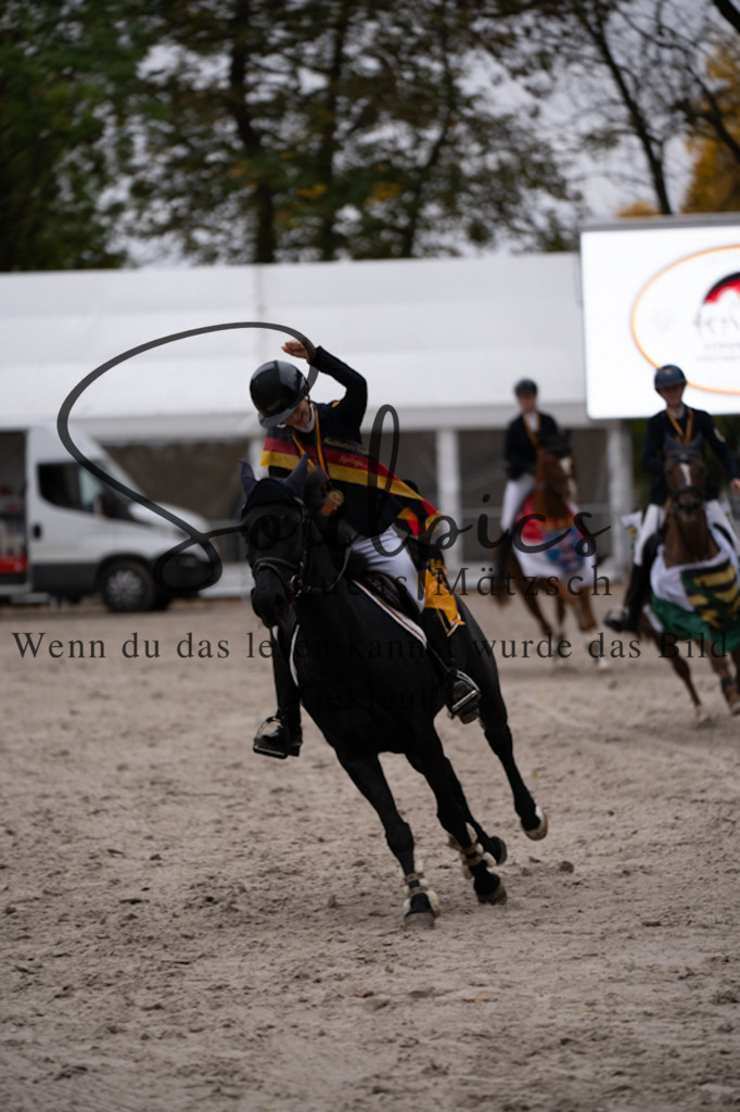 A7V01574 | Pferdefotograf