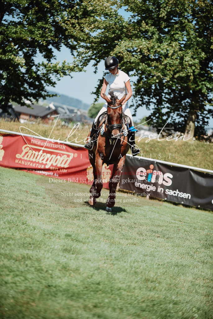 DSC_3379 | Pferde- und Turnierfotografie in Westsachsen. Pferdeportraits, Auftragszeichnungen und intuitive Kunst.