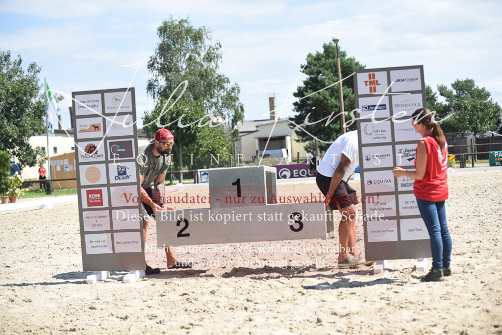 DSC_8833 | Pferde- und Turnierfotografie in Westsachsen. Pferdeportraits, Auftragszeichnungen und intuitive Kunst.