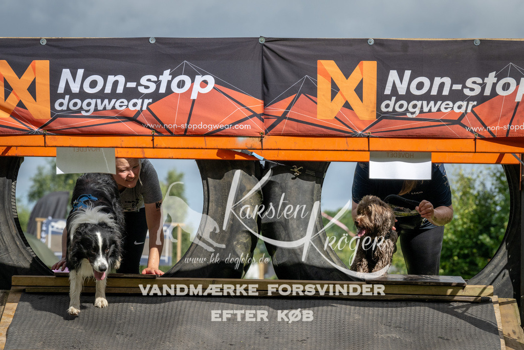 1115_ZZ92149 | kk-dogfotos