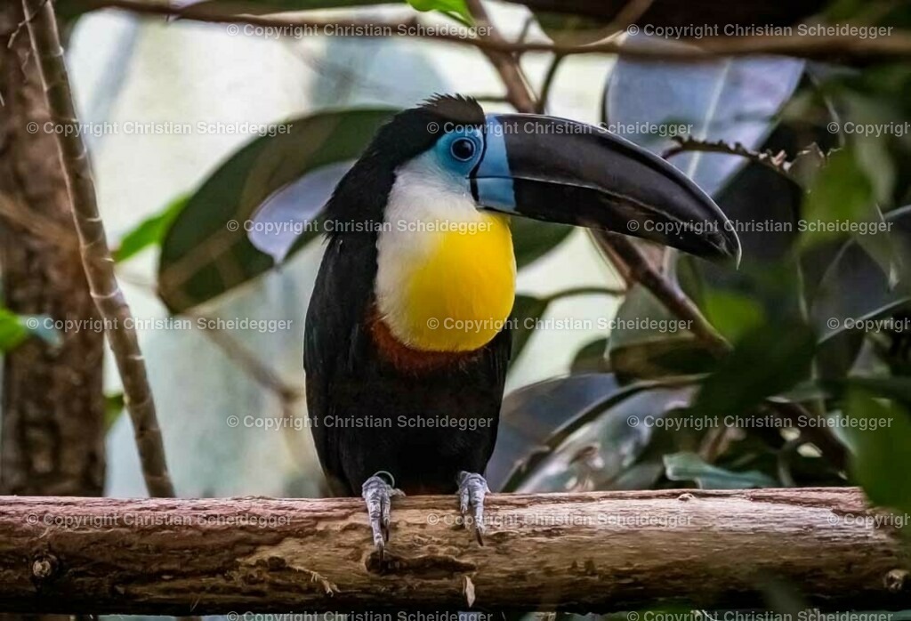 PICTR-A6406820 | Schöne Fotoprints und andere Fotobilderprodukte, frei konfigurierbar - Realisiert mit Pictrs.com