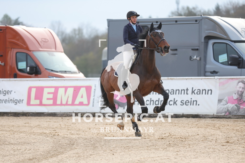 0P6A2871 | Willkommen bei Brunnmayr - Design & Fotografie – Ihrem Spezialisten für Reitturniere und Pferdeveranstaltungen in Oberösterreich, Salzburg und Bayern! Seit über 17 Jahren sind wir leidenschaftlich dabei.