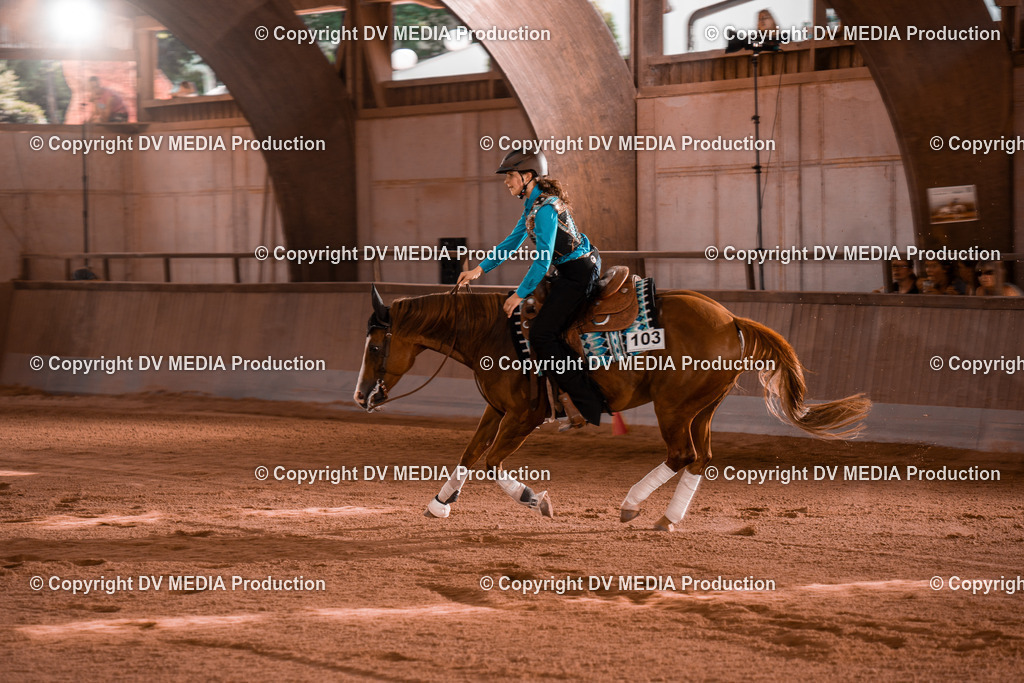 NE201132 | dv-media-shop - Realisiert mit Pictrs.com