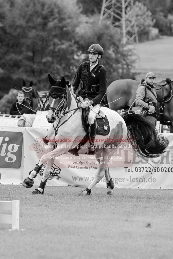 DSC_6502 | Pferde- und Turnierfotografie in Westsachsen. Pferdeportraits, Auftragszeichnungen und intuitive Kunst.