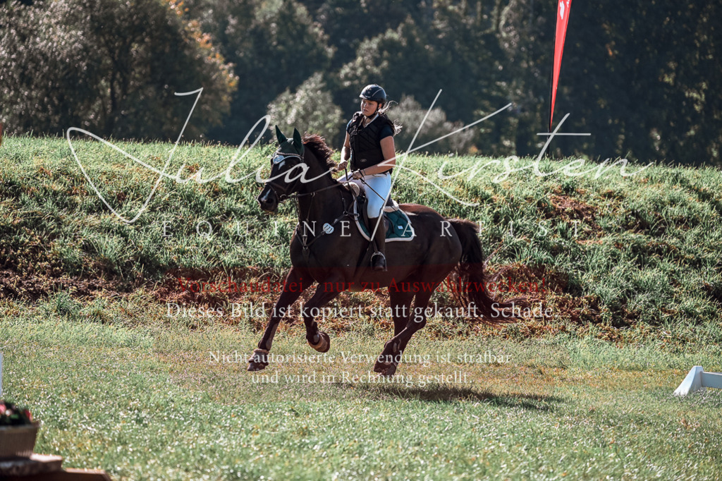 DSC_0894 | Pferde- und Turnierfotografie in Westsachsen. Pferdeportraits, Auftragszeichnungen und intuitive Kunst.
