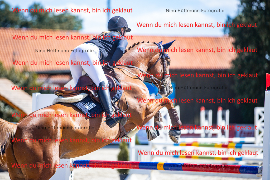 BK1A5471 | Turnierbilder Turnierfotos Nina Hüffmann Turnierfotografie Pferdefotografie Tierzeichnung Haustierzeichnung Pferdezeichnung Hundezeichnung Videograf  - Realisiert mit Pictrs.com
