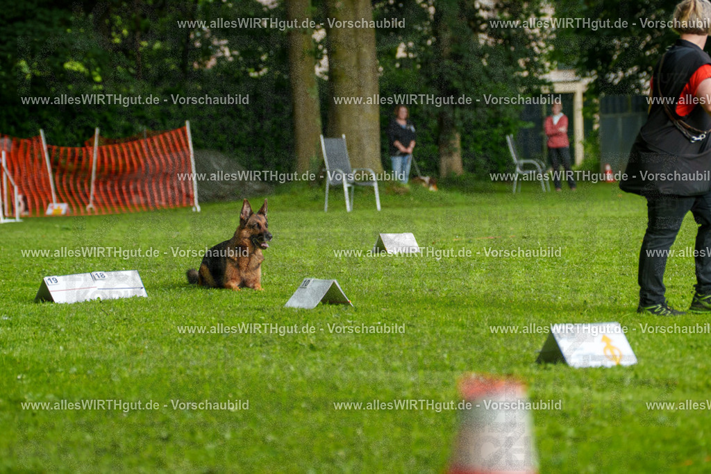 @allesWIRTHgut_Tierfotografie - www.allesWIRTHgut.de - 7R502490 | Professionelle Tierfotografie in Mönchengladbach von Daniel Wirth (allesWIRTHgut). Liebevolle & natürliche Bilder von Hunden & Katzen für unvergessliche Erinnerungen.
