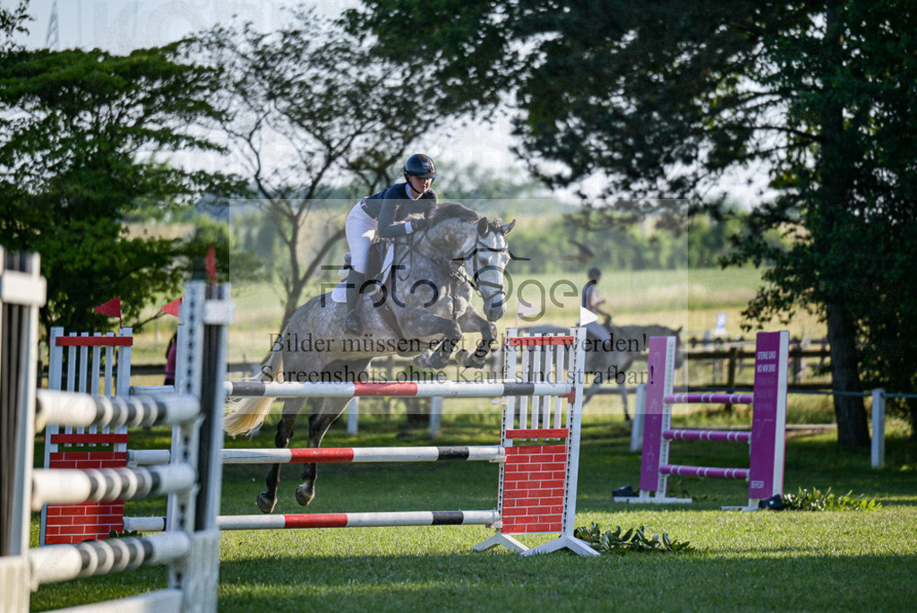 Reitturnier Voxtrup | Entdecke hochwertige Reitturnierfotos von Foto Oger. Professionell, emotional und authentisch – jetzt Lieblingsmomente im Shop bestellen.Deutschlandweite Turnierfotografie. - Realisiert mit Pictrs.com