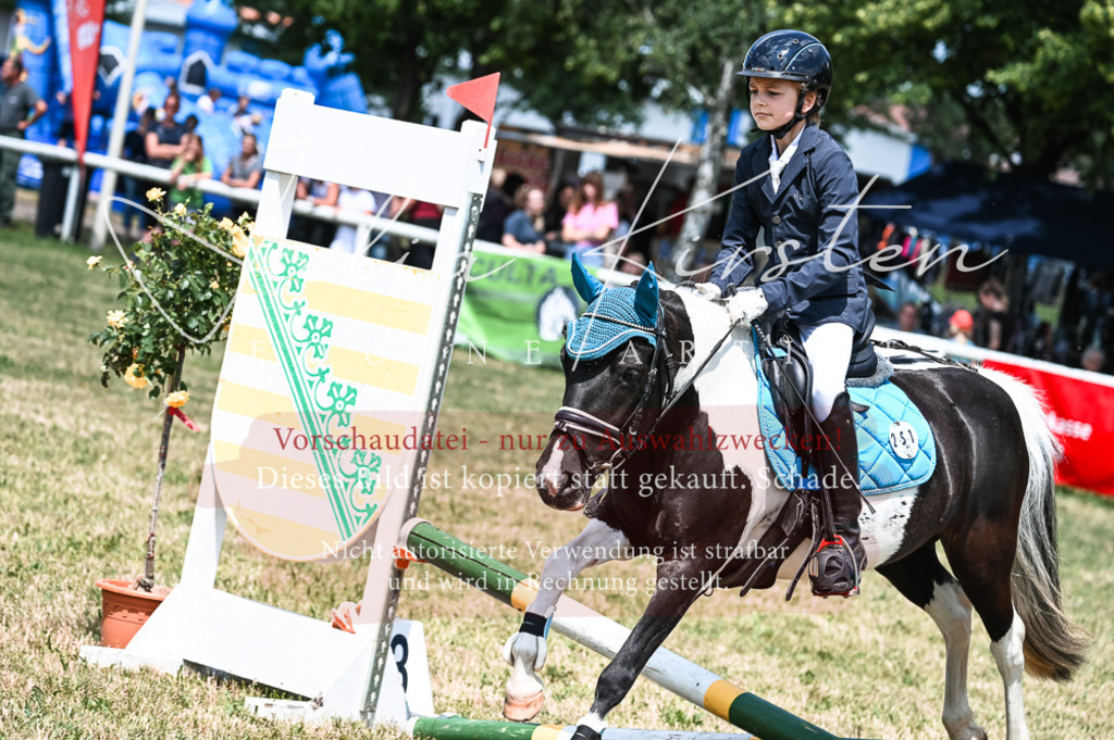 DSC_9741 | Pferde- und Turnierfotografie in Westsachsen. Pferdeportraits, Auftragszeichnungen und intuitive Kunst.