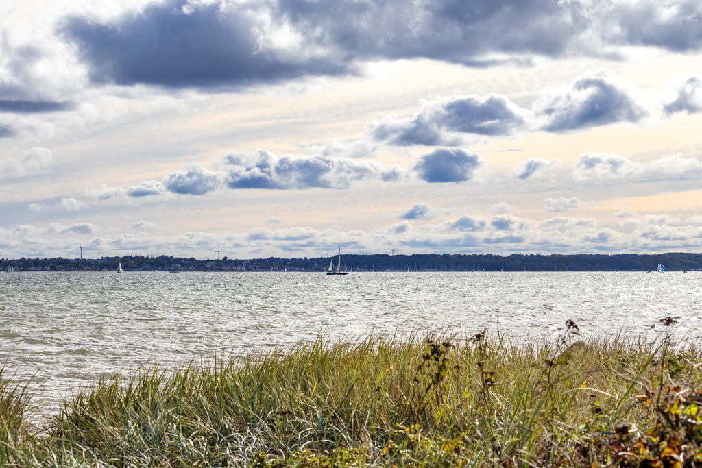 Wandbild: Strandhafer in Strande | Dieses Wandbild im Querformat zeigt Strandhafer am Strand in Strande. Am Himmel befinden sich malerische Wolken. Zwischen ist der Himmel leicht rötlich.  - Realisiert mit Pictrs.com