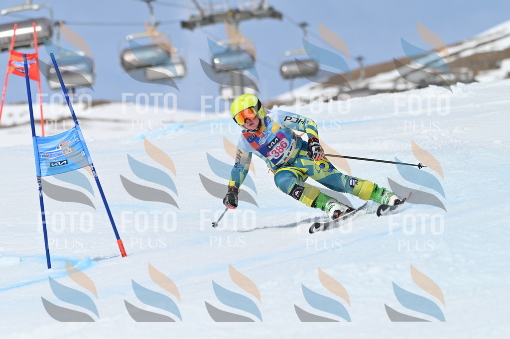 BGV_4286 | holidayphoto