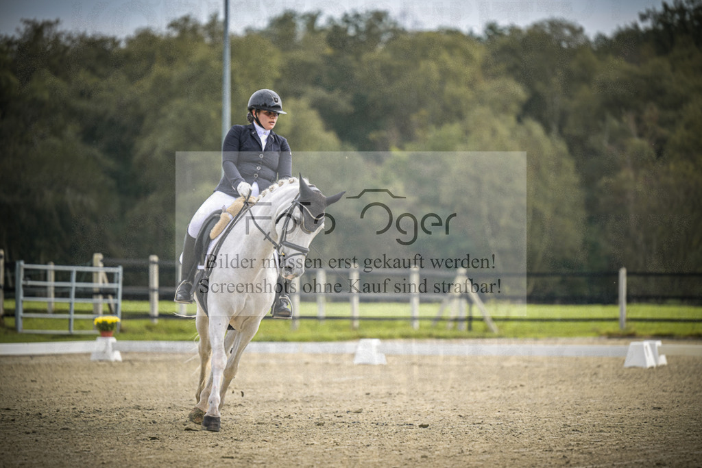 DOS_B429 | Entdecke hochwertige Reitturnierfotos von Foto Oger. Professionell, emotional und authentisch – jetzt Lieblingsmomente im Shop bestellen.Deutschlandweite Turnierfotografie. - Realisiert mit Pictrs.com