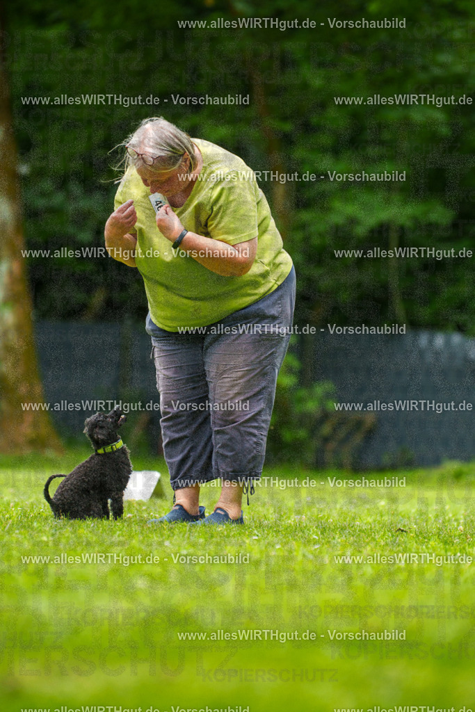 @allesWIRTHgut_Tierfotografie - www.allesWIRTHgut.de - 7R500478 | Professionelle Tierfotografie in Mönchengladbach von Daniel Wirth (allesWIRTHgut). Liebevolle & natürliche Bilder von Hunden & Katzen für unvergessliche Erinnerungen.