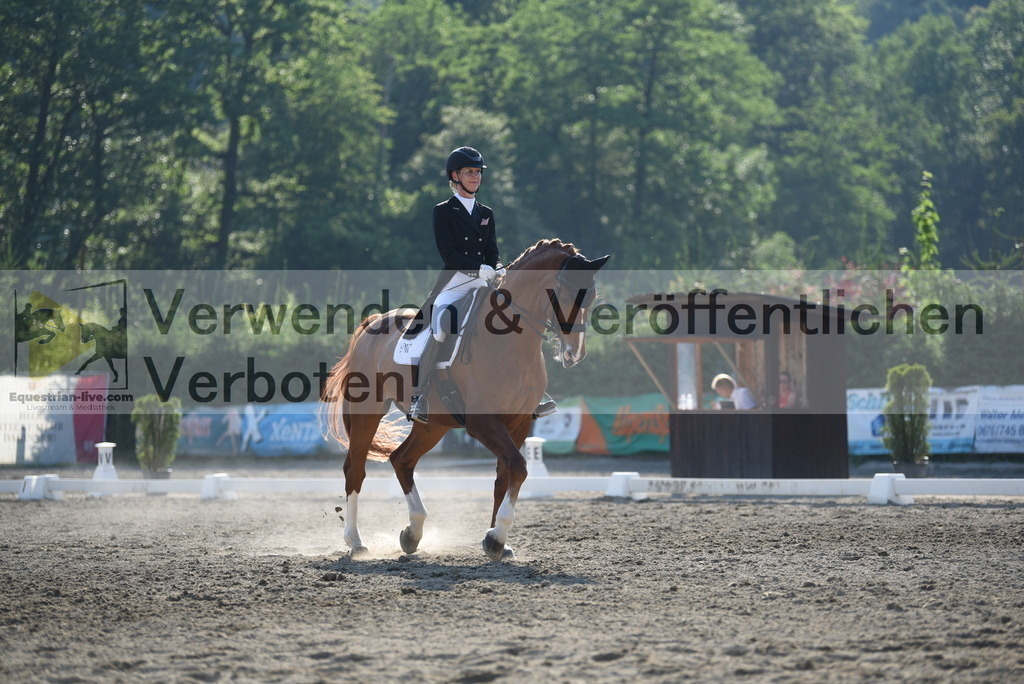 DSC_3132 | equestrian-live-com
