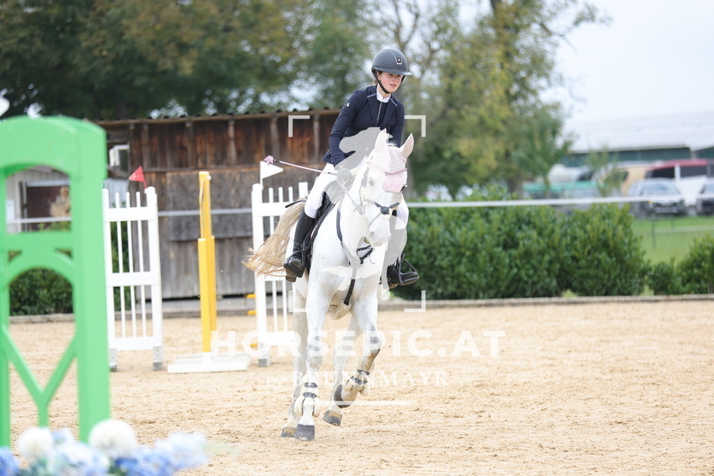 0P6A2359 | Willkommen bei Brunnmayr - Design & Fotografie – Ihrem Spezialisten für Reitturniere und Pferdeveranstaltungen in Oberösterreich, Salzburg und Bayern! Seit über 17 Jahren sind wir leidenschaftlich dabei.