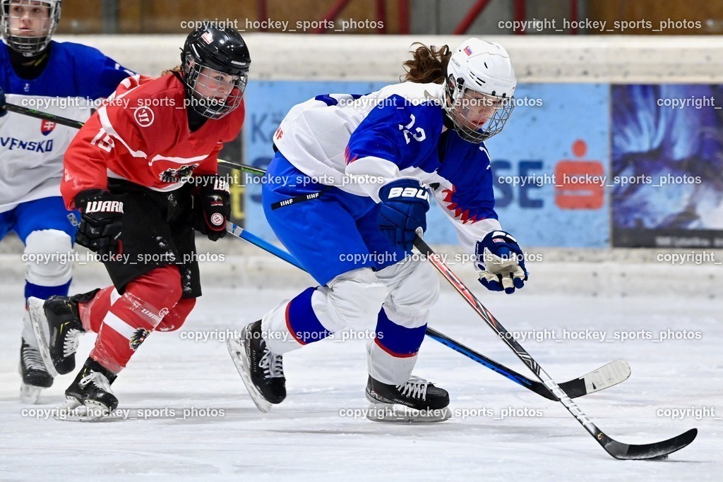 BST_3570 | hockey sports photos, Pressefotos, Sportfotos, hockey247, win 2day icehockeyleague, Handball Austria, Floorball Austria, ÖVV, Kärntner Eishockeyverband, KEHV, KFV, Kärntner Fussballverband, Österreichischer Volleyballverband, Alps Hockey League, ÖFB, 