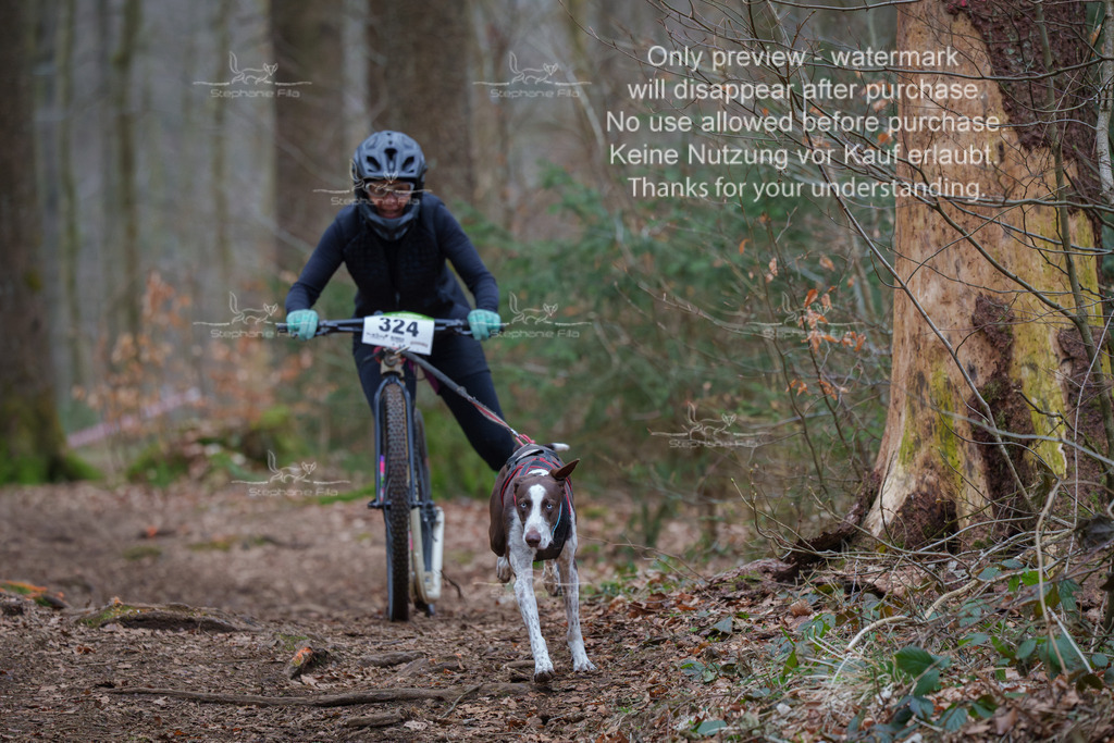 Scooter_So-95 | stephaniefillaphotographie - Realisiert mit Pictrs.com