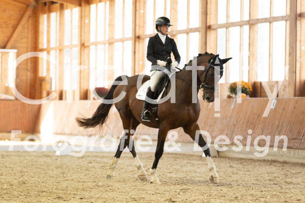 IMG_2631 | Creatify Fotografie