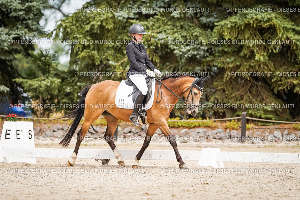 DSC04415 | Pferdegrafie