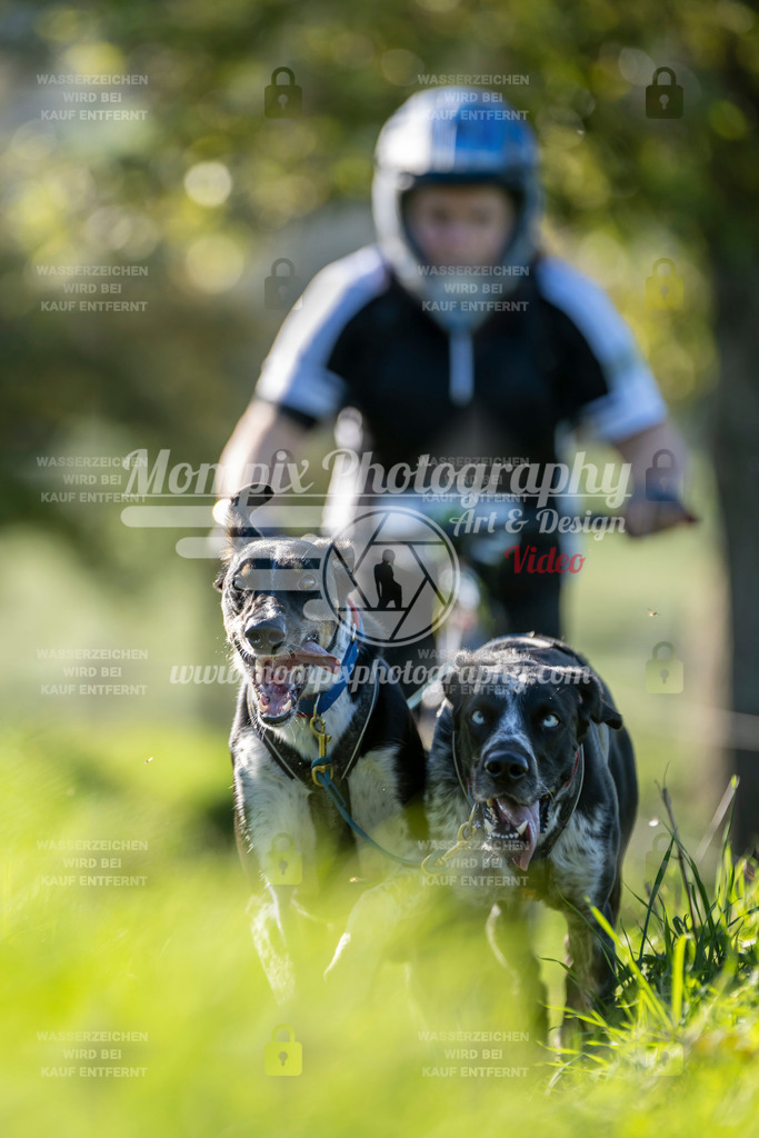 MompixPhotography_20TSB_E3_DS2-43 | PayLife