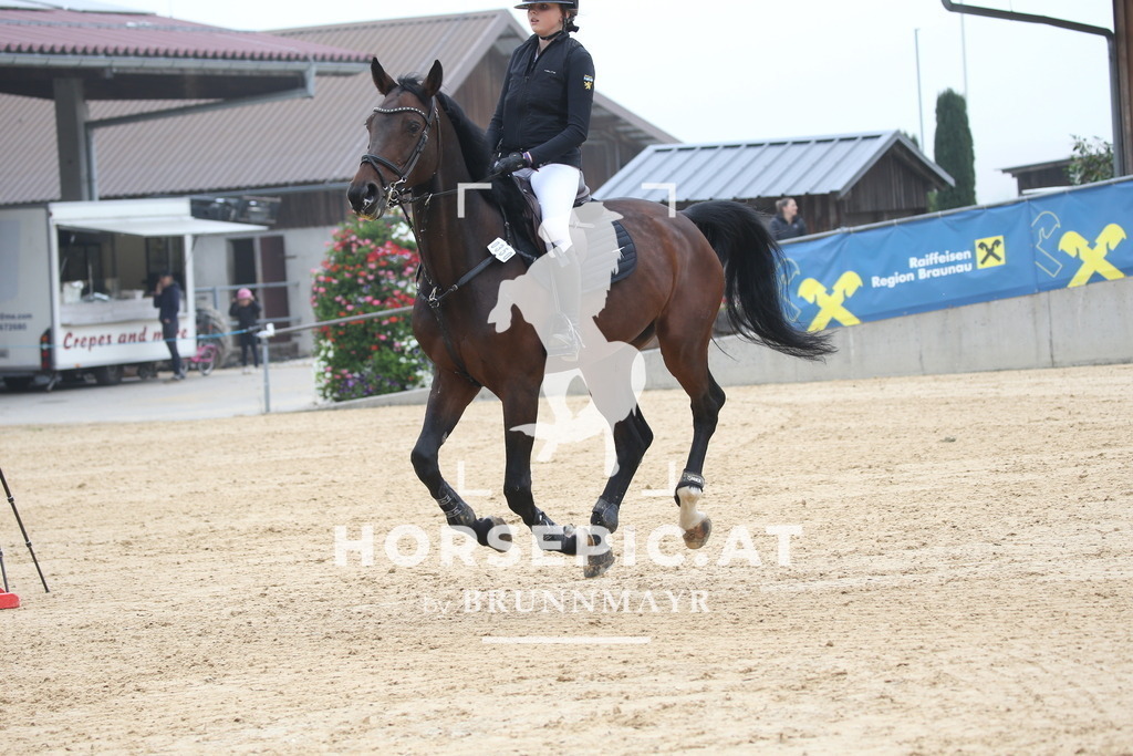 DL2Q3624 | Willkommen bei Brunnmayr - Design & Fotografie – Ihrem Spezialisten für Reitturniere und Pferdeveranstaltungen in Oberösterreich, Salzburg und Bayern! Seit über 17 Jahren sind wir leidenschaftlich dabei.