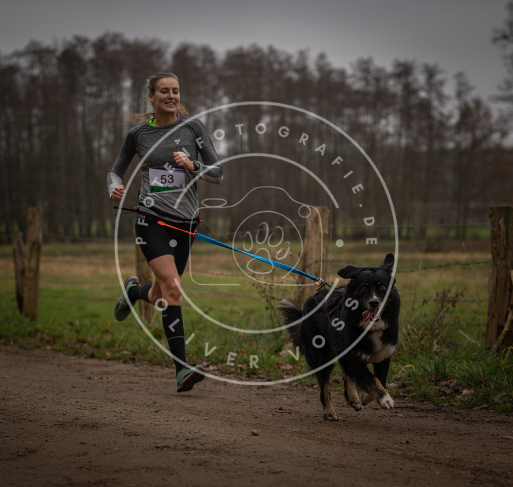 Pfotenfotografie_DV3A2954 | Hundefotografie, Tierfotograf, Pfotenfotografie, Fotoshooting Hund, Hunde Portrait, Hundesport, Hundeportraits, Heideshooting, Hunde, Sportfotograf, Hundefotograf, Turnierhundsport, THS,  - Realisiert mit Pictrs.com