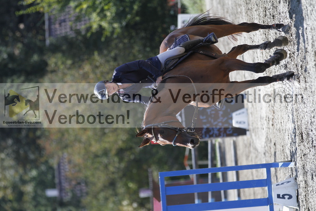 _MG_3285 | equestrian-live-com