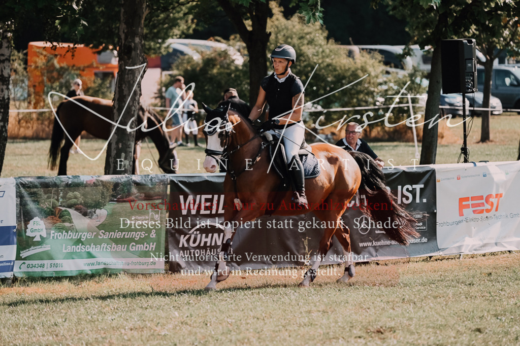 DSC_4737 | Pferde- und Turnierfotografie in Westsachsen. Pferdeportraits, Auftragszeichnungen und intuitive Kunst.