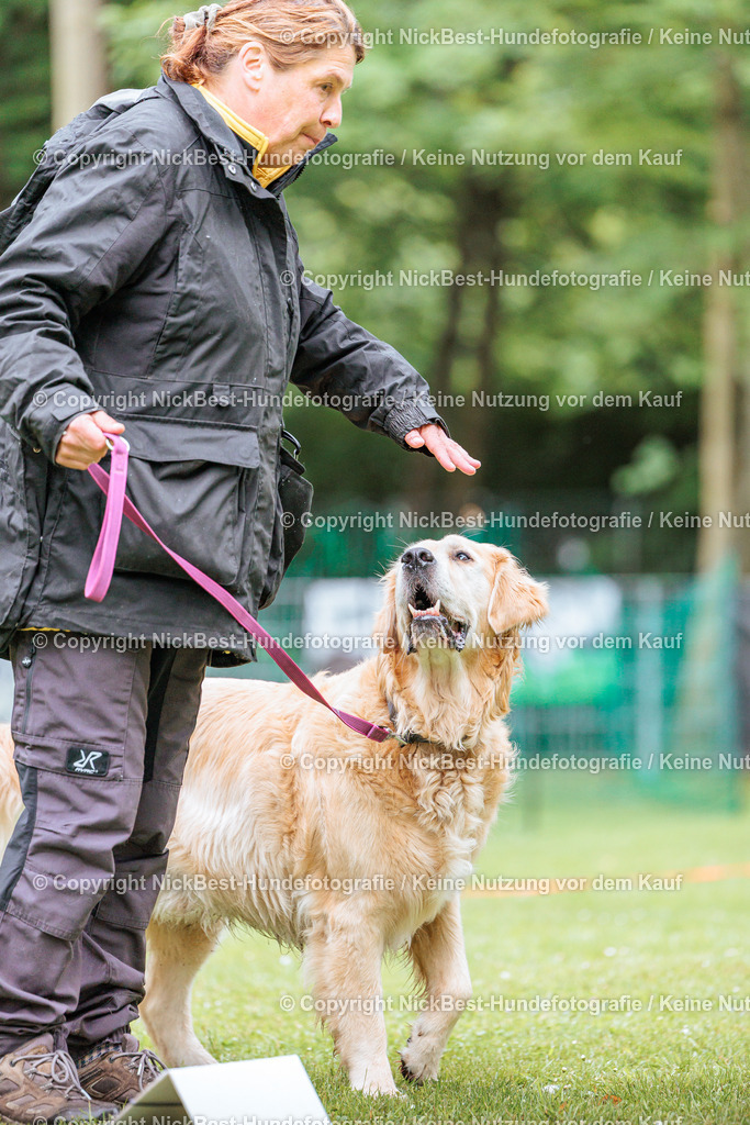 RO-Blumenthal-2026-Nickbest-Hundefotografie-1004 | Dein Hund! Dein Moment! Deine Erinnerungen! Hundefotografie in Bremen Blumenthal. Ich fange die besonderen Momente deines Vierbeiners ein – ob Indoor mit Blitzanlage oder in der freien Natur. Sicher dir dein Moment und dein Termin für eure Erinnerungen.