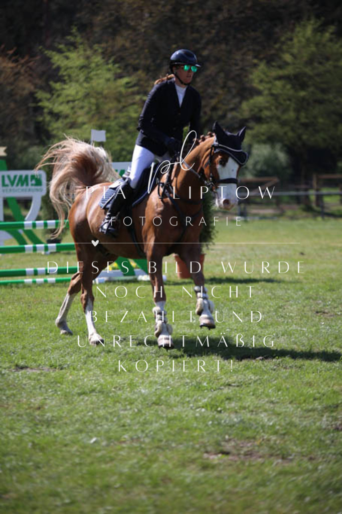 IMGT5626 | pl-fotografie