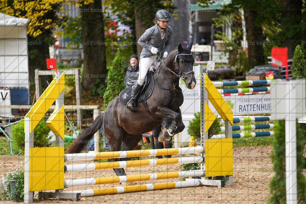 20221009-FAH08425 | Diessen am Ammersee, 2022, Dressur- und Springturnier, Reitsportbilder, Turnierfotografen Bayern, Pferdefotografen, Fotoagentur Herrmann, Turnierbilder