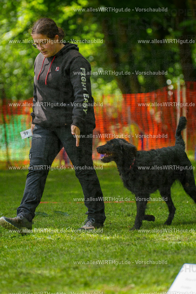 @allesWIRTHgut_Tierfotografie - www.allesWIRTHgut.de - 7R505282 | Professionelle Tierfotografie in Mönchengladbach von Daniel Wirth (allesWIRTHgut). Liebevolle & natürliche Bilder von Hunden & Katzen für unvergessliche Erinnerungen.