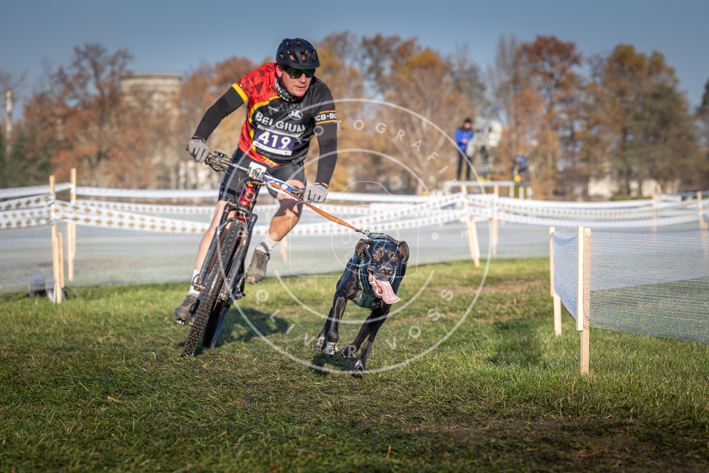 CaniXpix_0L8A4132 | Hundefotografie, Tierfotograf, Pfotenfotografie, Fotoshooting Hund, Hunde Portrait, Hundesport, Hundeportraits, Heideshooting, Hunde, Sportfotograf, Hundefotograf, Turnierhundsport, THS,  - Realisiert mit Pictrs.com