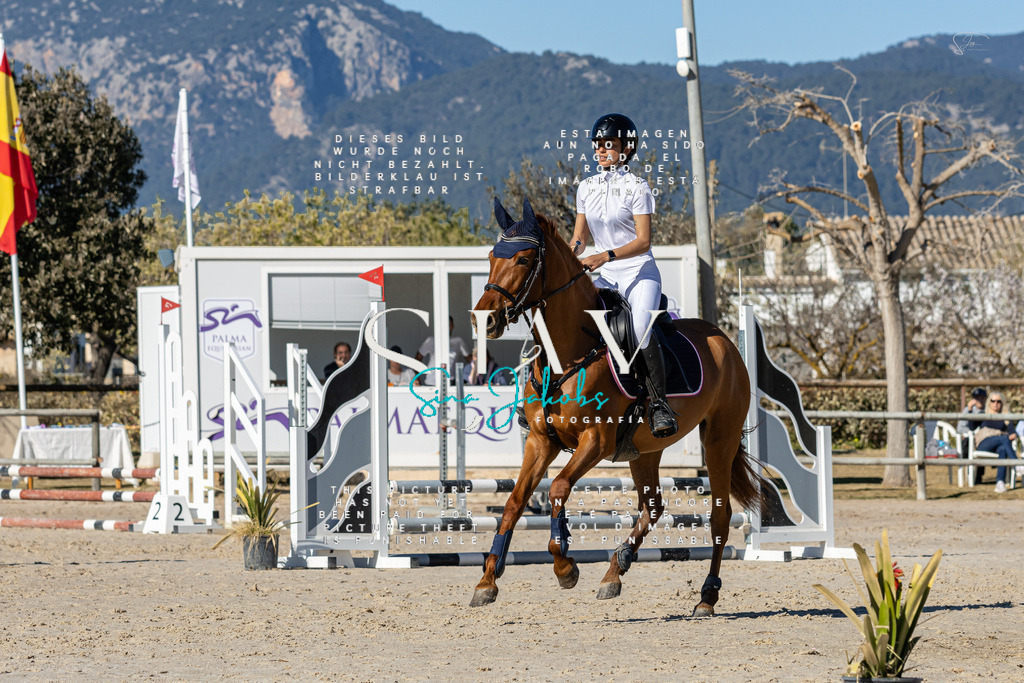 IMG_8522 | s-jay-photography - Realisiert mit Pictrs.com