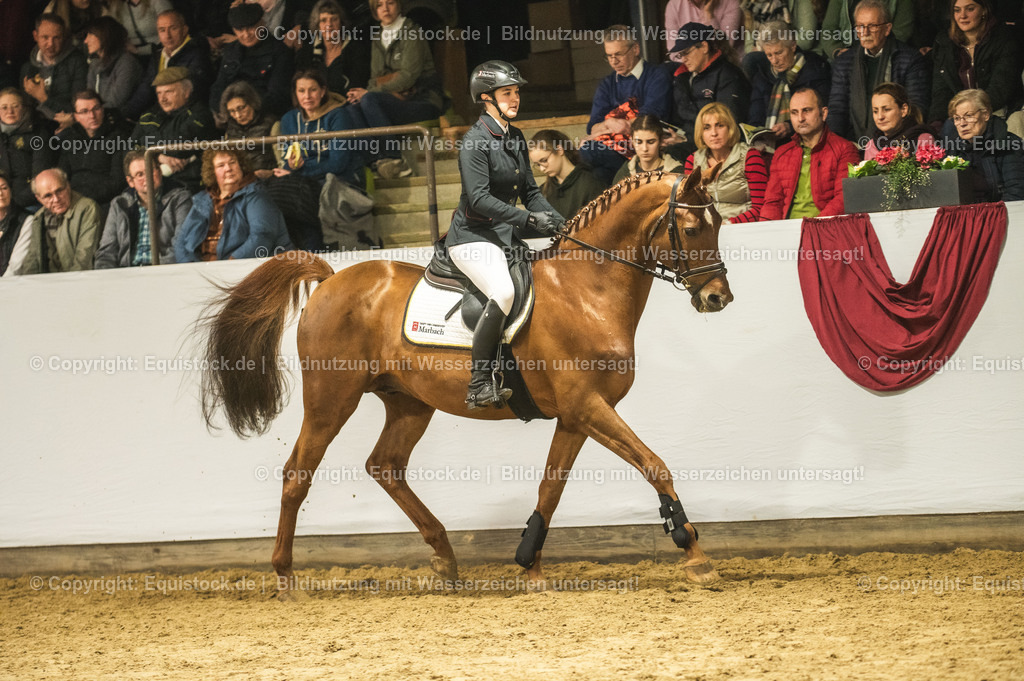 20240302_Hengstvorstellung_Marbach_TOMsPiC_1334-2 | equistock