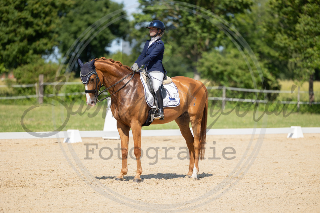 994A2980 | sabrinanicolaifotografie - Realisiert mit Pictrs.com