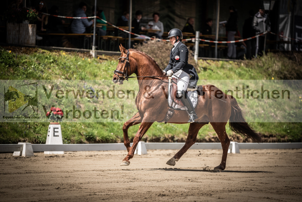 DSC_1574 | equestrian-live-com