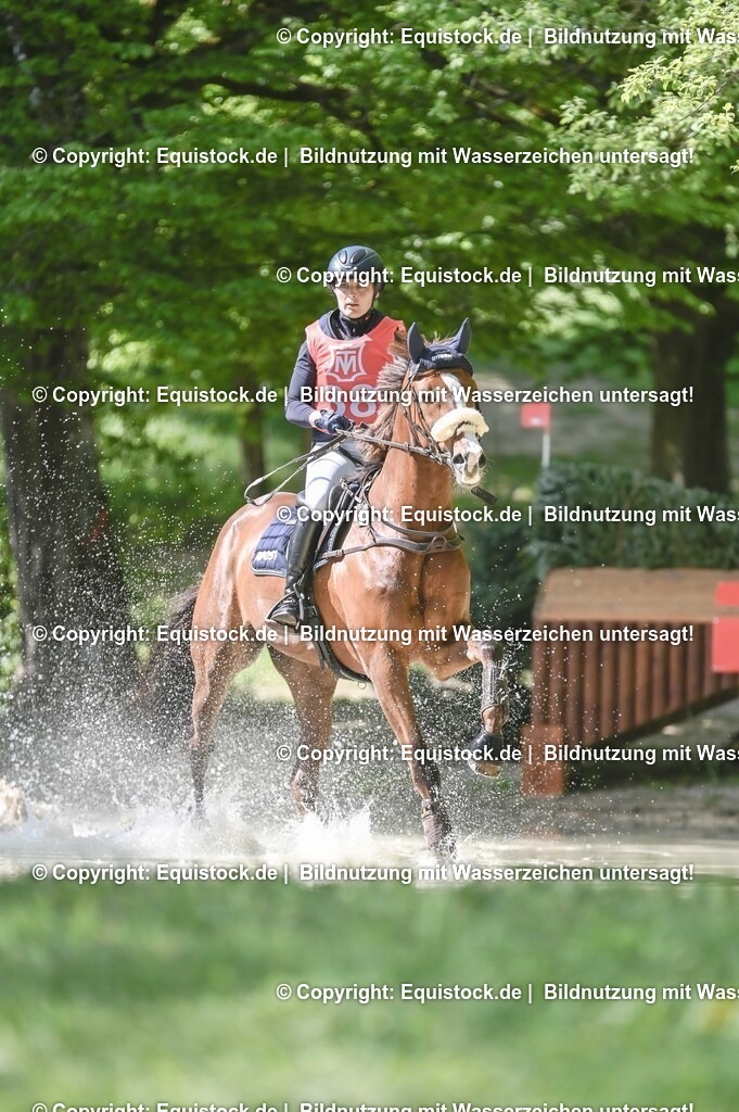 20250517_CCI2_Gelände_0978 | Foto: Thomas Hartig