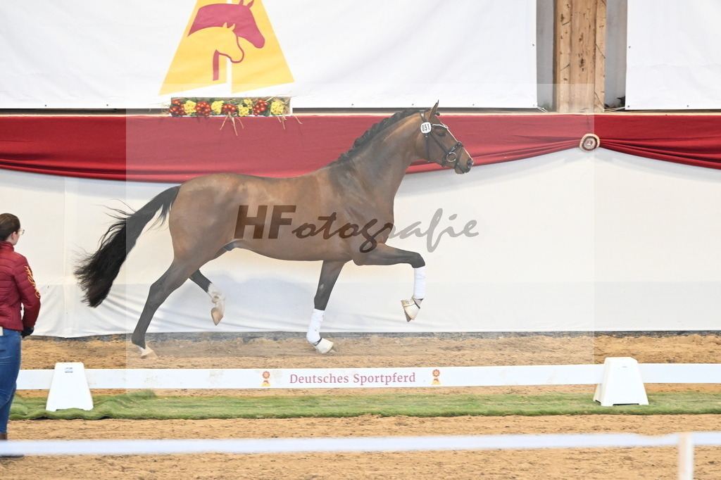 Kat.-Nr. 51 v. Fanegro_Gaab_3260529 | hf-fotografie - Realisiert mit Pictrs.com