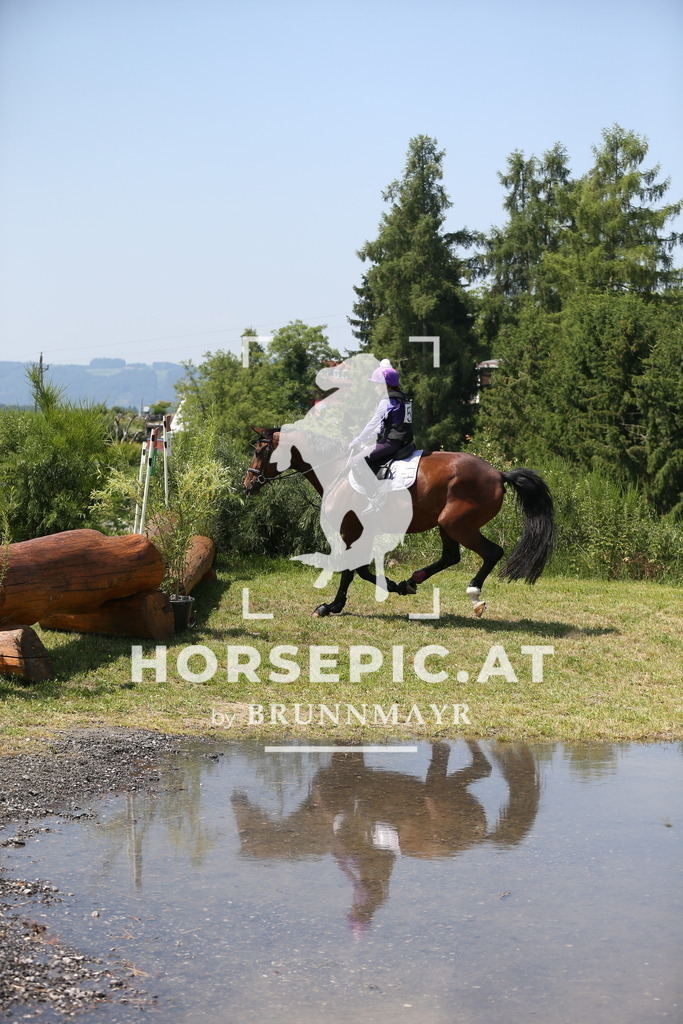 DL2Q1958 | Willkommen bei Brunnmayr - Design & Fotografie – Ihrem Spezialisten für Reitturniere und Pferdeveranstaltungen in Oberösterreich, Salzburg und Bayern! Seit über 17 Jahren sind wir leidenschaftlich dabei.