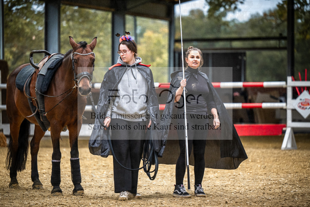 DOS_0155 | Entdecke hochwertige Reitturnierfotos von Foto Oger. Professionell, emotional und authentisch – jetzt Lieblingsmomente im Shop bestellen.Deutschlandweite Turnierfotografie. - Realisiert mit Pictrs.com