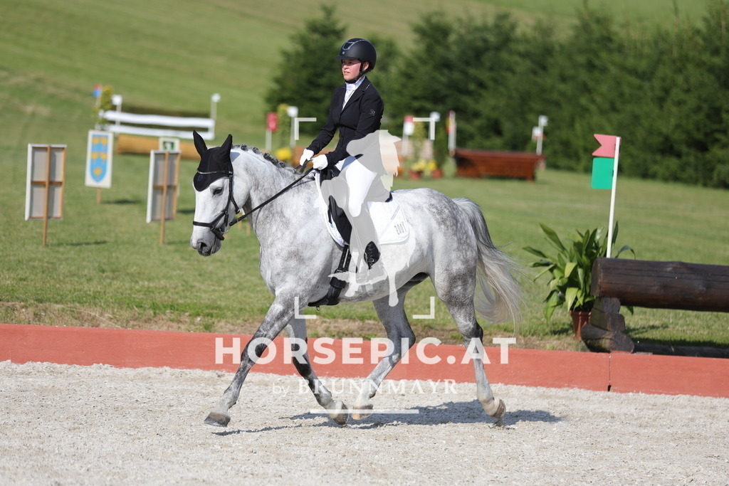 0P6A8660 | Willkommen bei Brunnmayr - Design & Fotografie – Ihrem Spezialisten für Reitturniere und Pferdeveranstaltungen in Oberösterreich, Salzburg und Bayern! Seit über 17 Jahren sind wir leidenschaftlich dabei.
