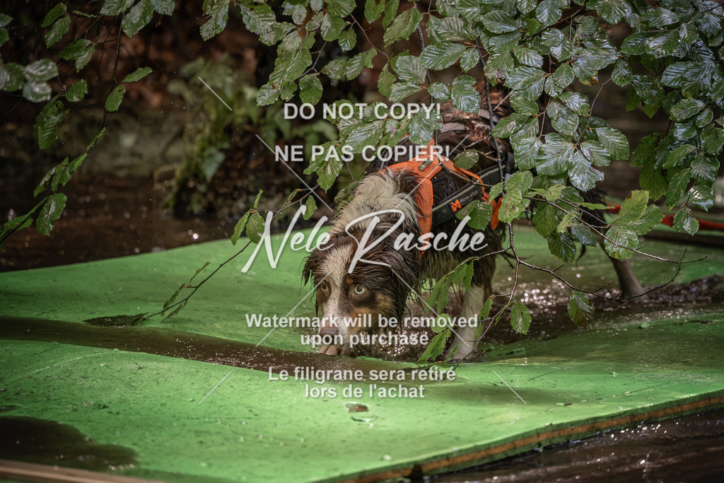 nelerasche_Wingst_Sa1330-1400_218 | nelerasche