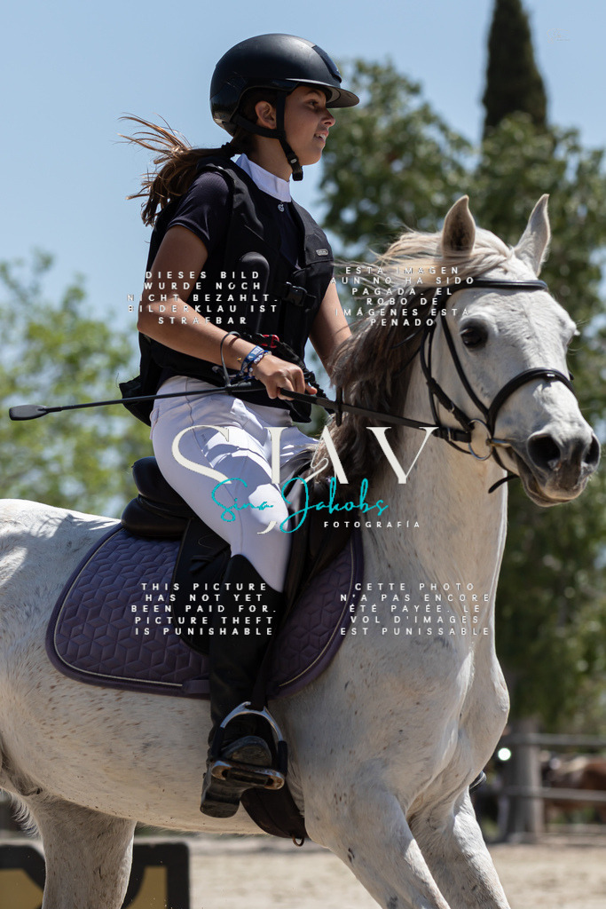 IMG_0334 | s-jay-photography - Realisiert mit Pictrs.com